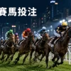 香港賽馬投注入門｜獨贏、位置、連贏與位置Q玩法