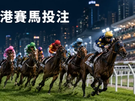 香港賽馬投注入門｜獨贏、位置、連贏與位置Q玩法